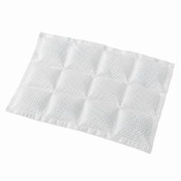 Ice Pack Sheet 3 x 4 Zellen (200 x 280 mm) - 1000 Stück