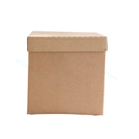Eco Coolbox 400 x 300 x 300 mm Weiß