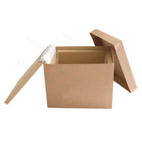Eco Coolbox 400 x 300 x 300 mm (per 120 Stuks)