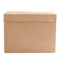 Eco Coolbox 400 x 300 x 300 mm (per 120 Stuks)